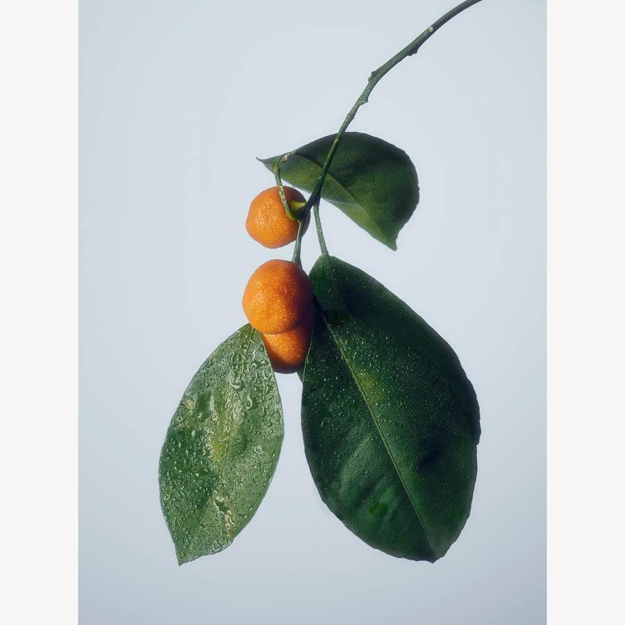 Photograph by Jacques Brun