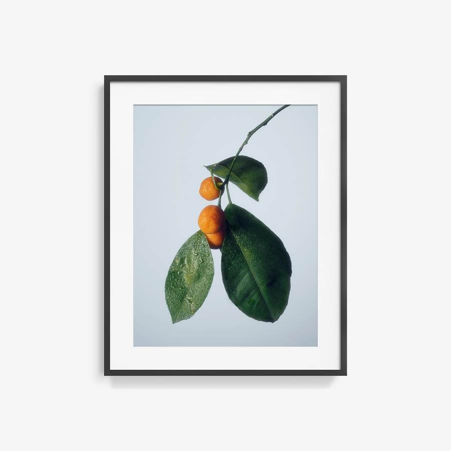 Photograph by Jacques Brun