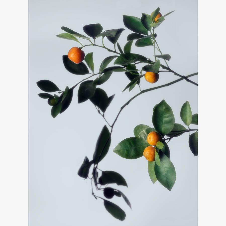 Photograph by Jacques Brun