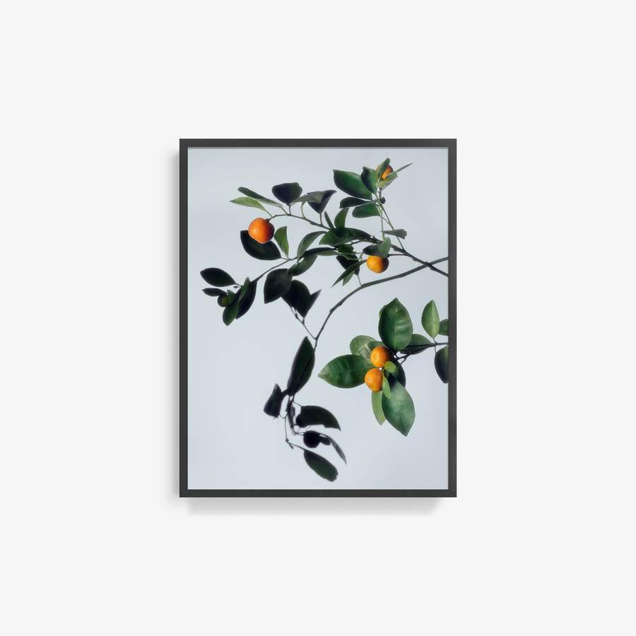 Photograph by Jacques Brun