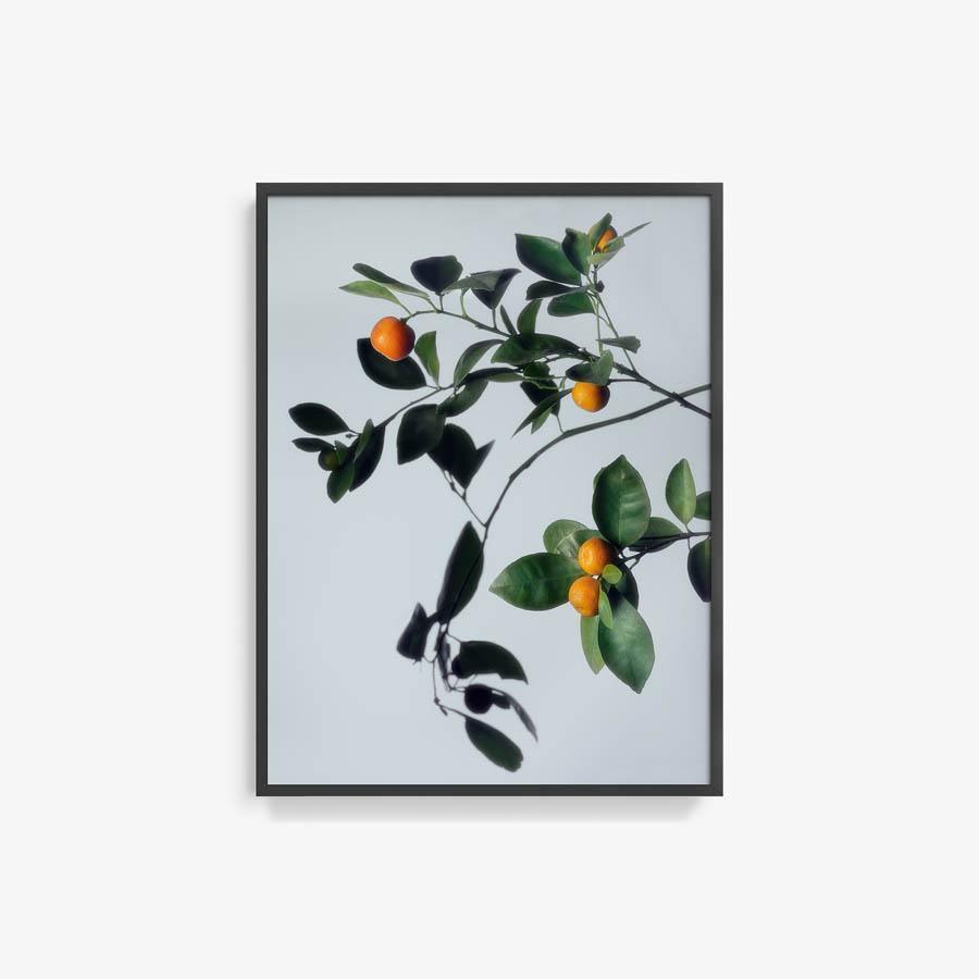 Photograph by Jacques Brun