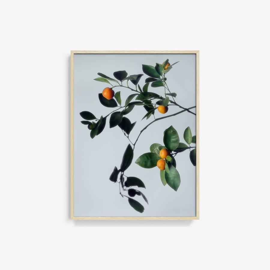 Photograph by Jacques Brun