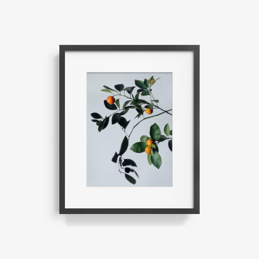 Photograph by Jacques Brun