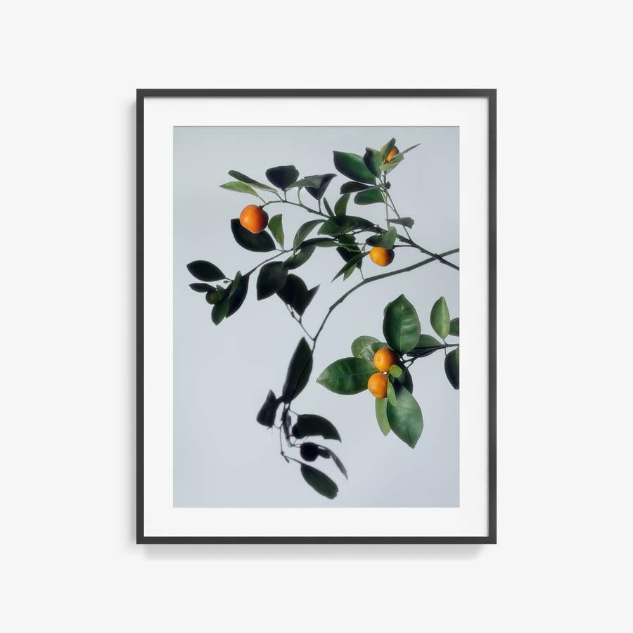 Photograph by Jacques Brun