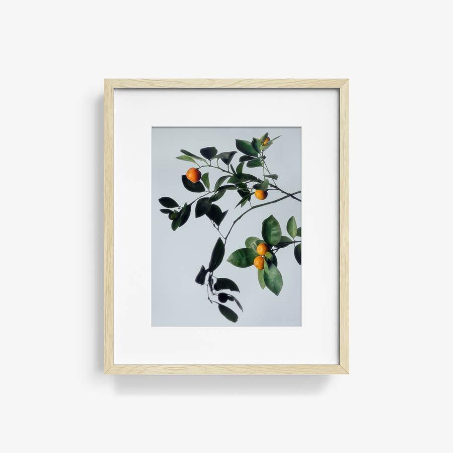 Photograph by Jacques Brun