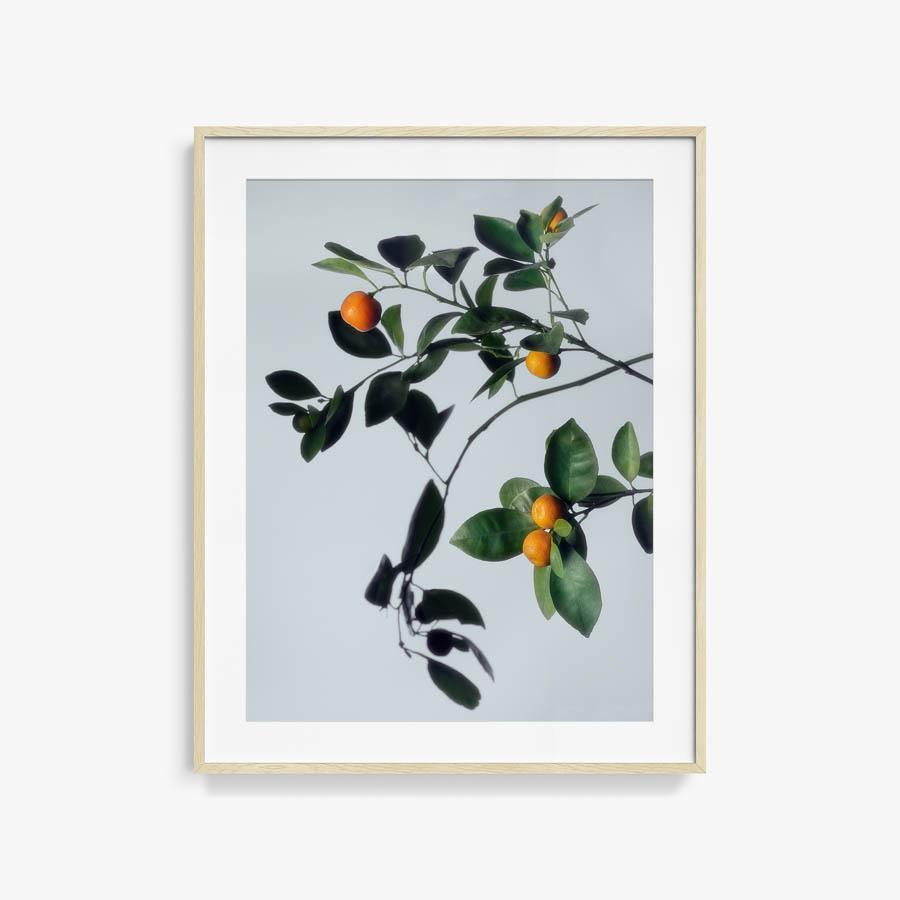 Photograph by Jacques Brun