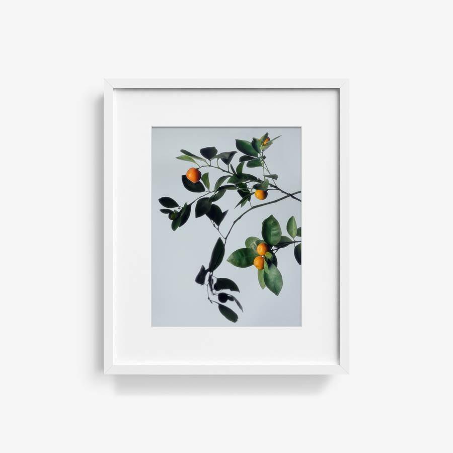 Photograph by Jacques Brun