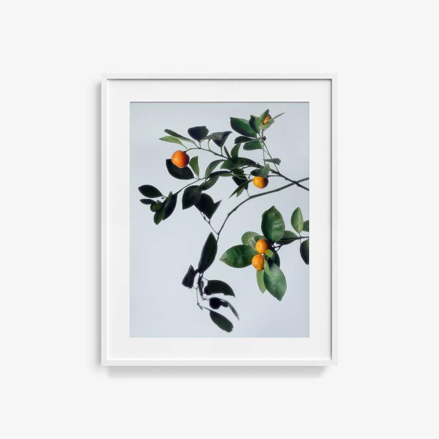 Photograph by Jacques Brun