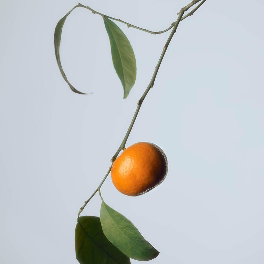 Photography by Jacques Brun