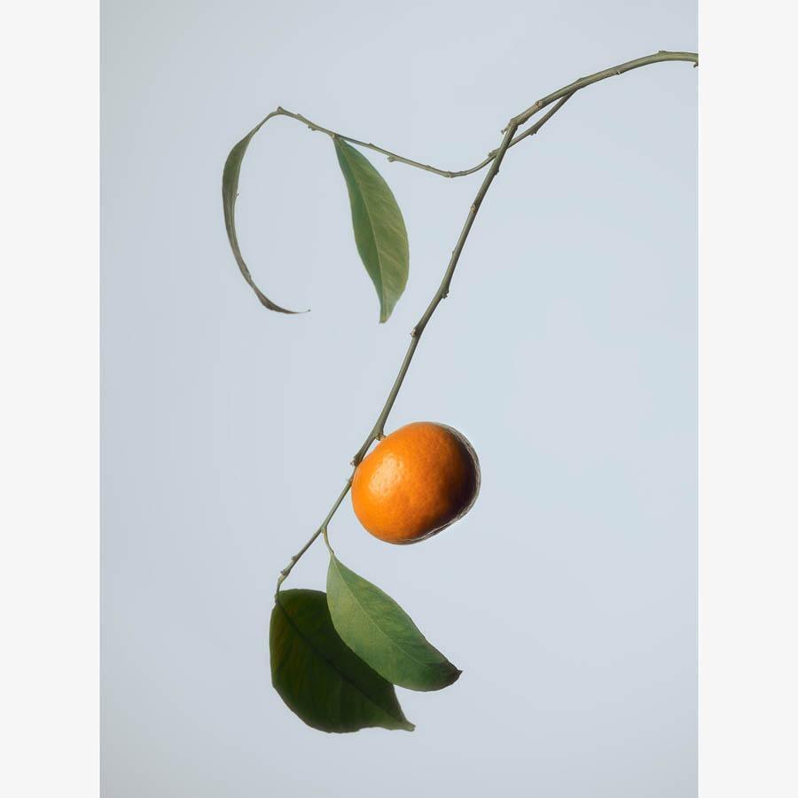 Photography by Jacques Brun