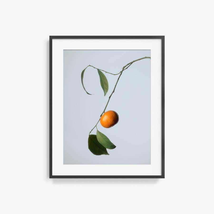 Photography by Jacques Brun