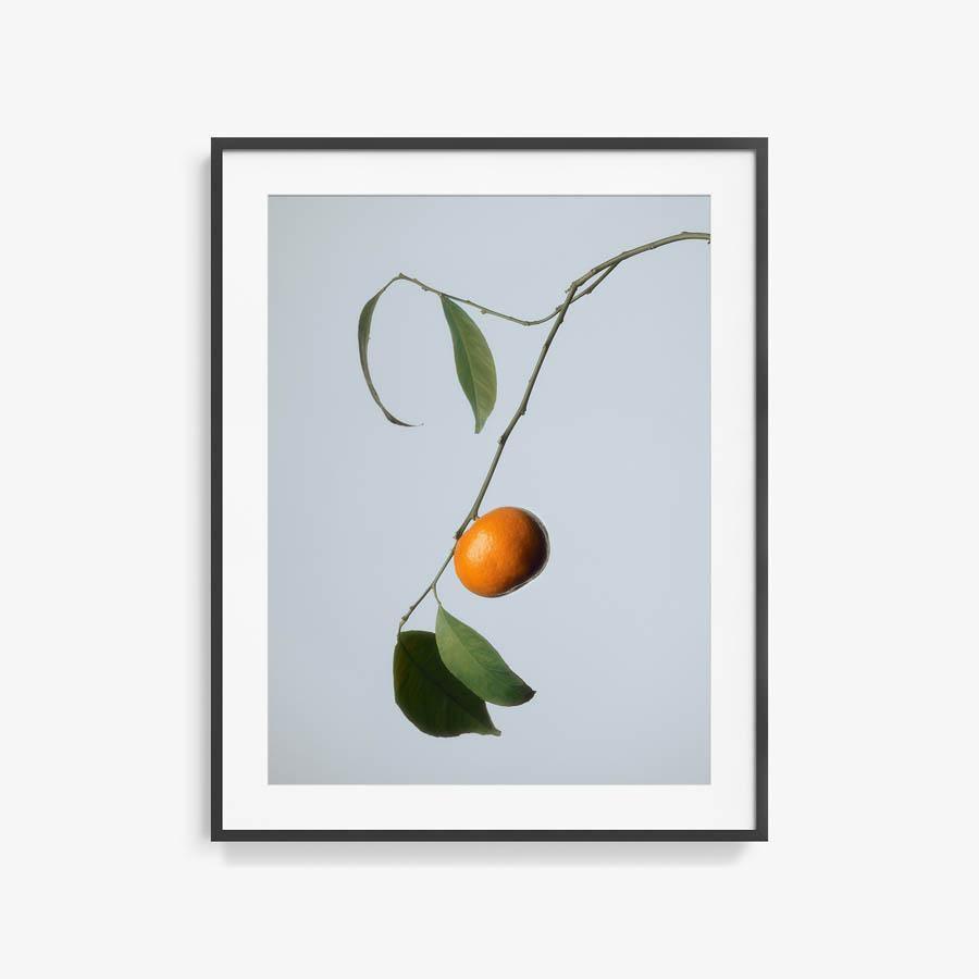 Photography by Jacques Brun