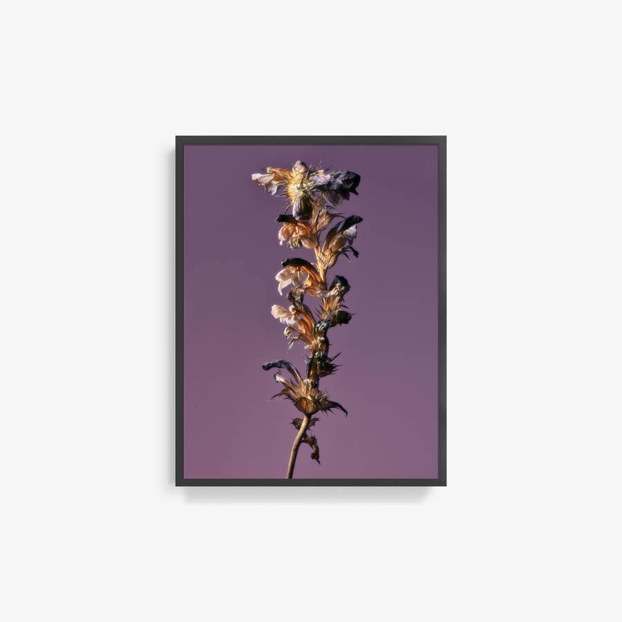 Photography by Jacques Brun