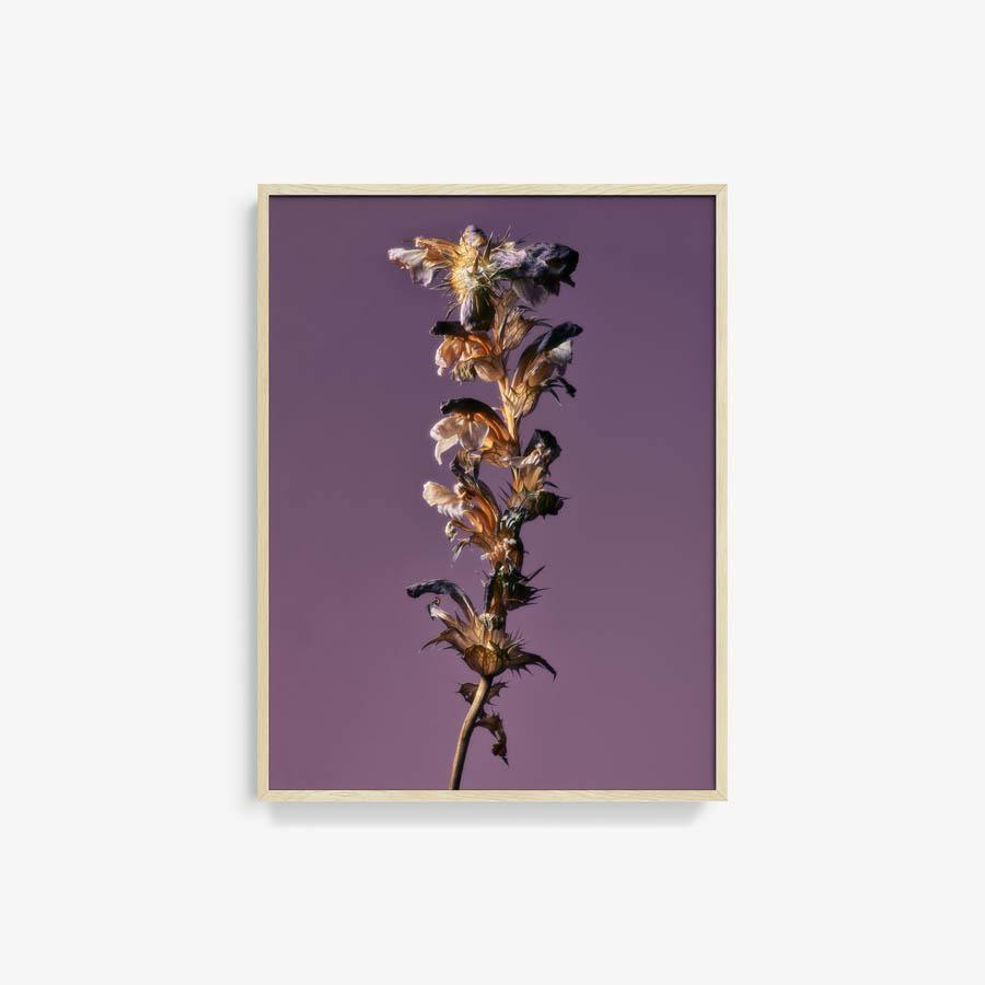 Photography by Jacques Brun