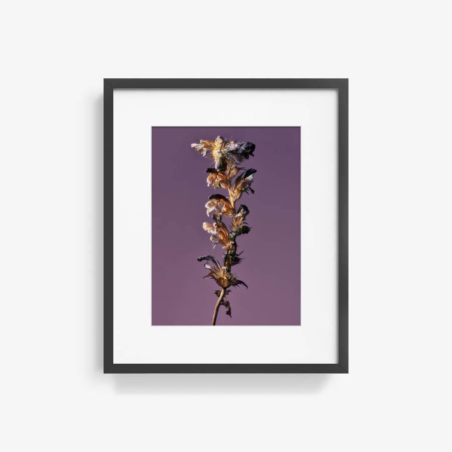 Photography by Jacques Brun