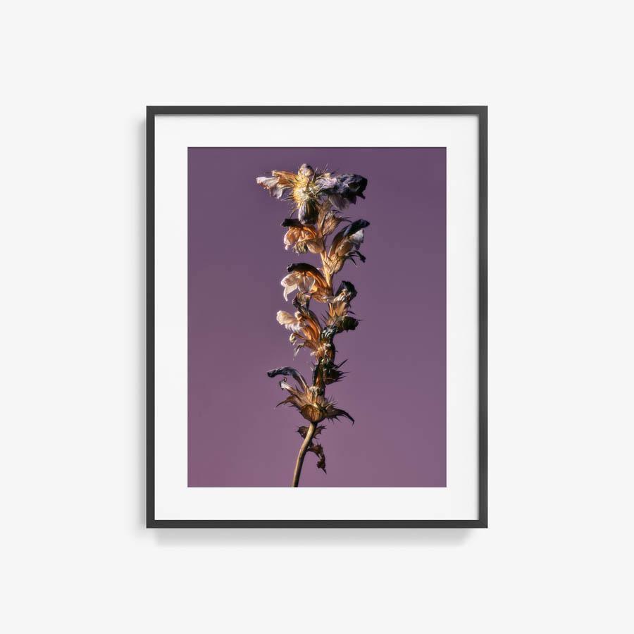 Photography by Jacques Brun