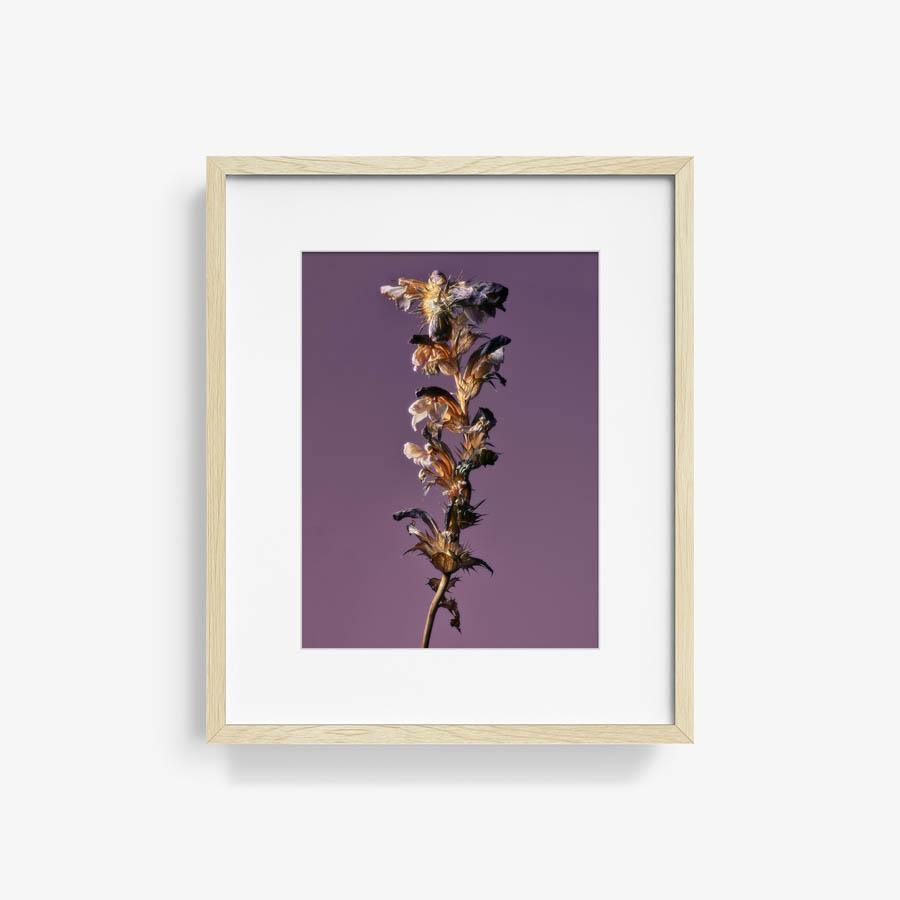 Photography by Jacques Brun