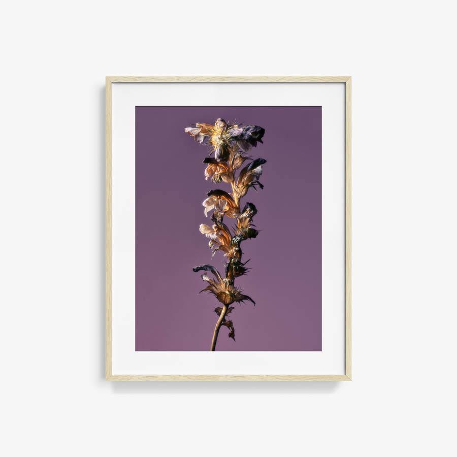 Photography by Jacques Brun