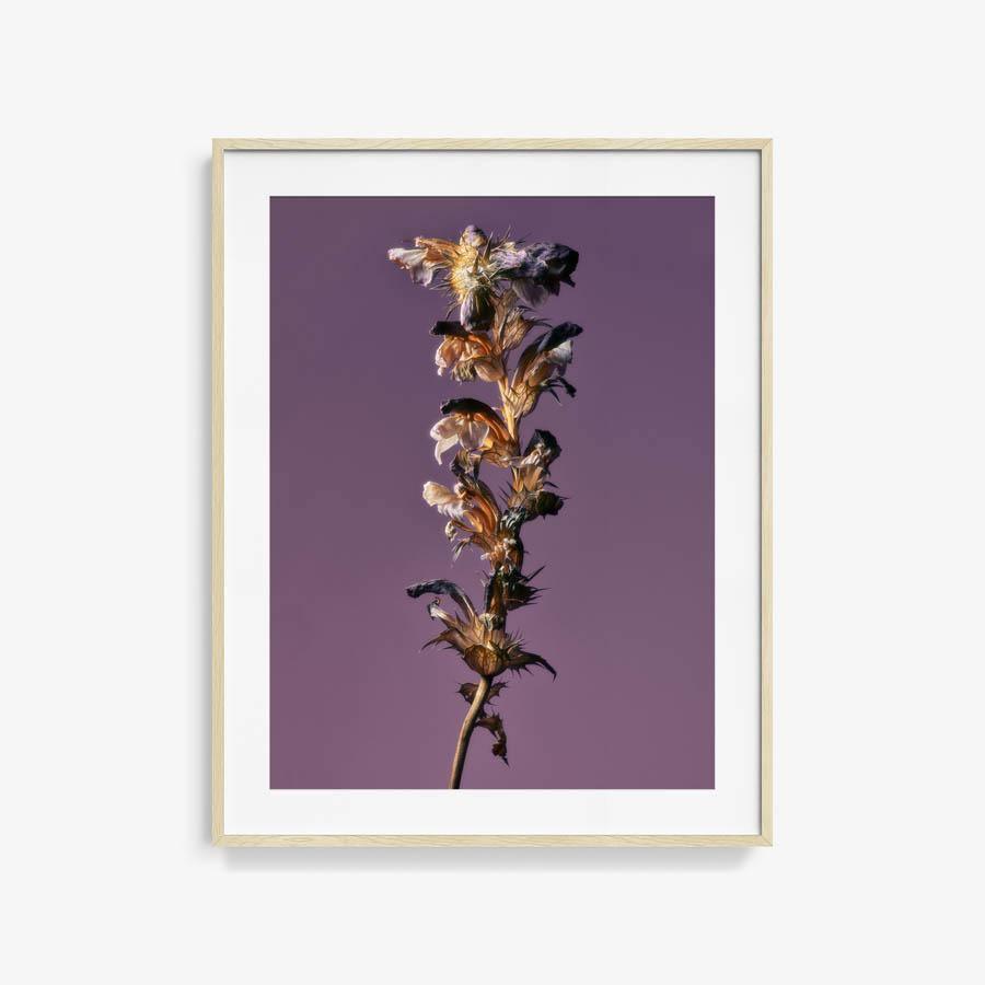 Photography by Jacques Brun