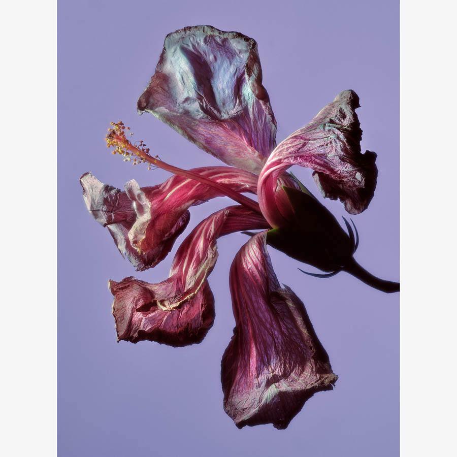 Photography by Jacques Brun