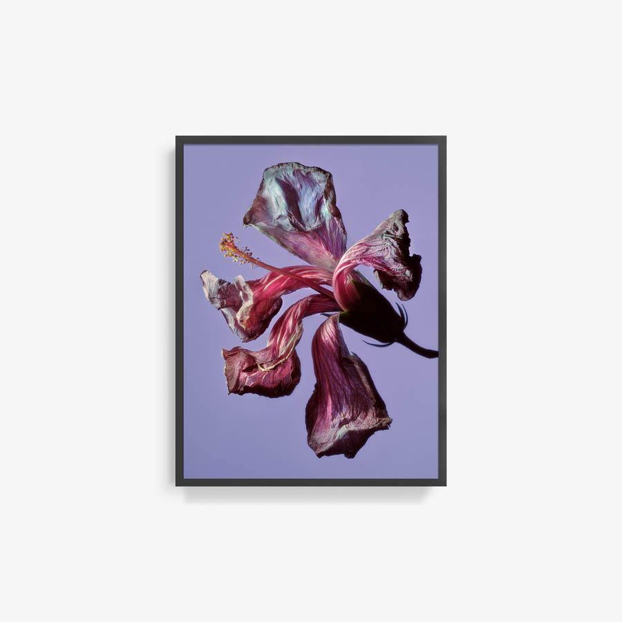 Photography by Jacques Brun