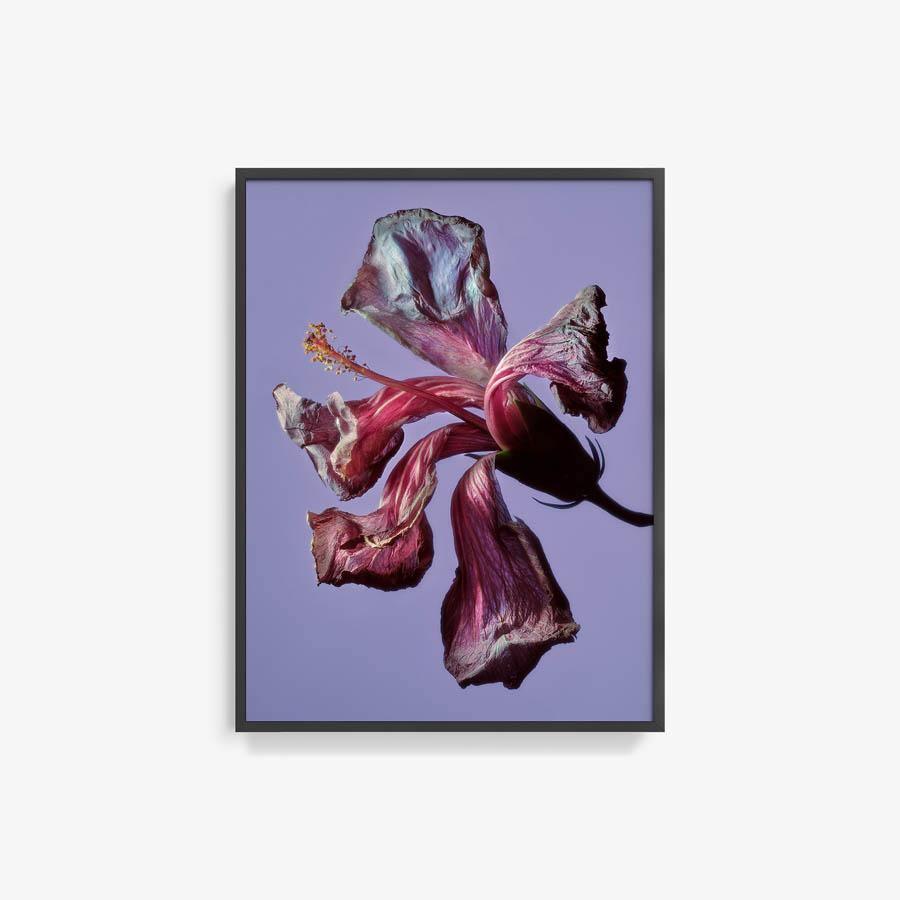 Photography by Jacques Brun