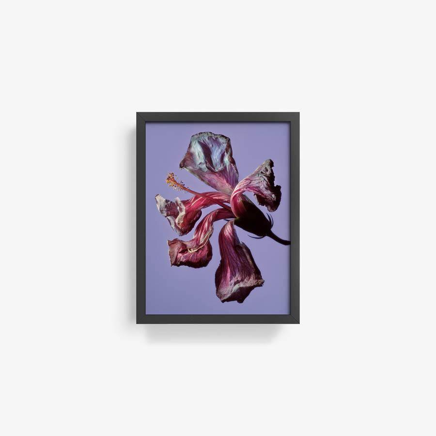 Photography by Jacques Brun