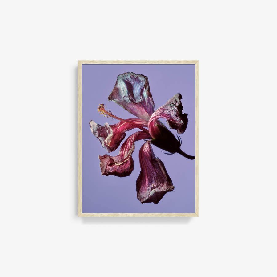 Photography by Jacques Brun