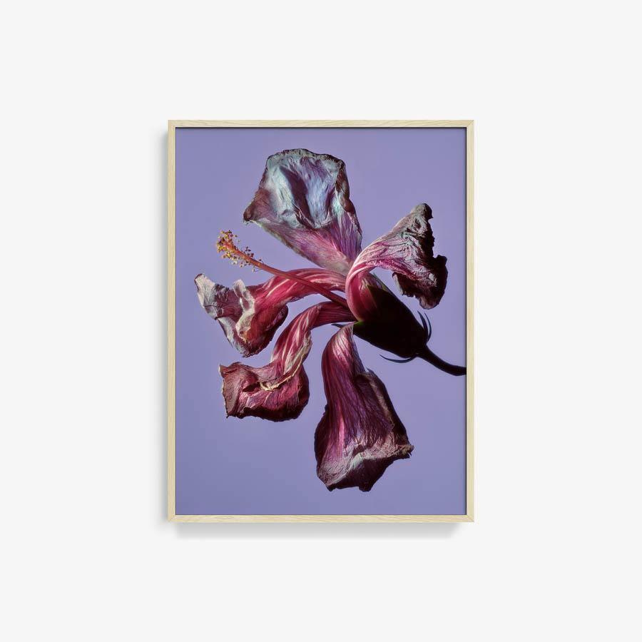 Photography by Jacques Brun