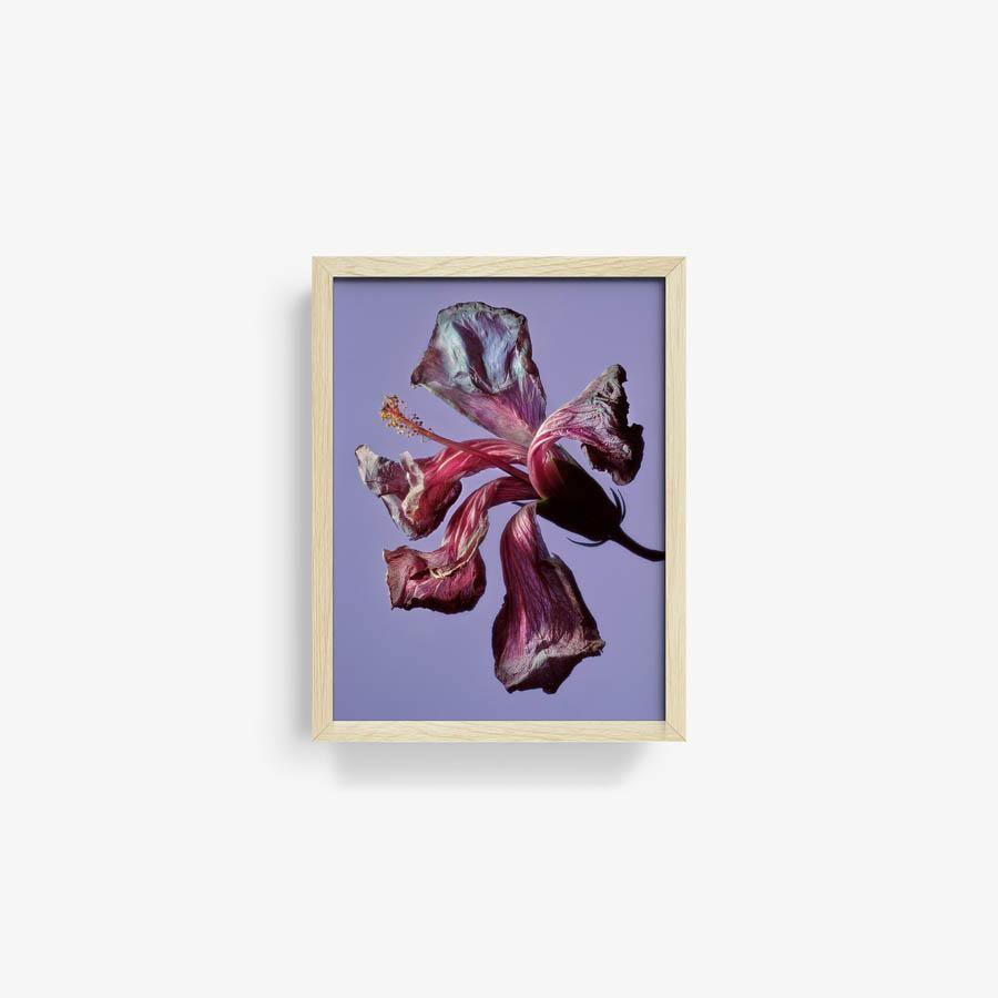 Photography by Jacques Brun