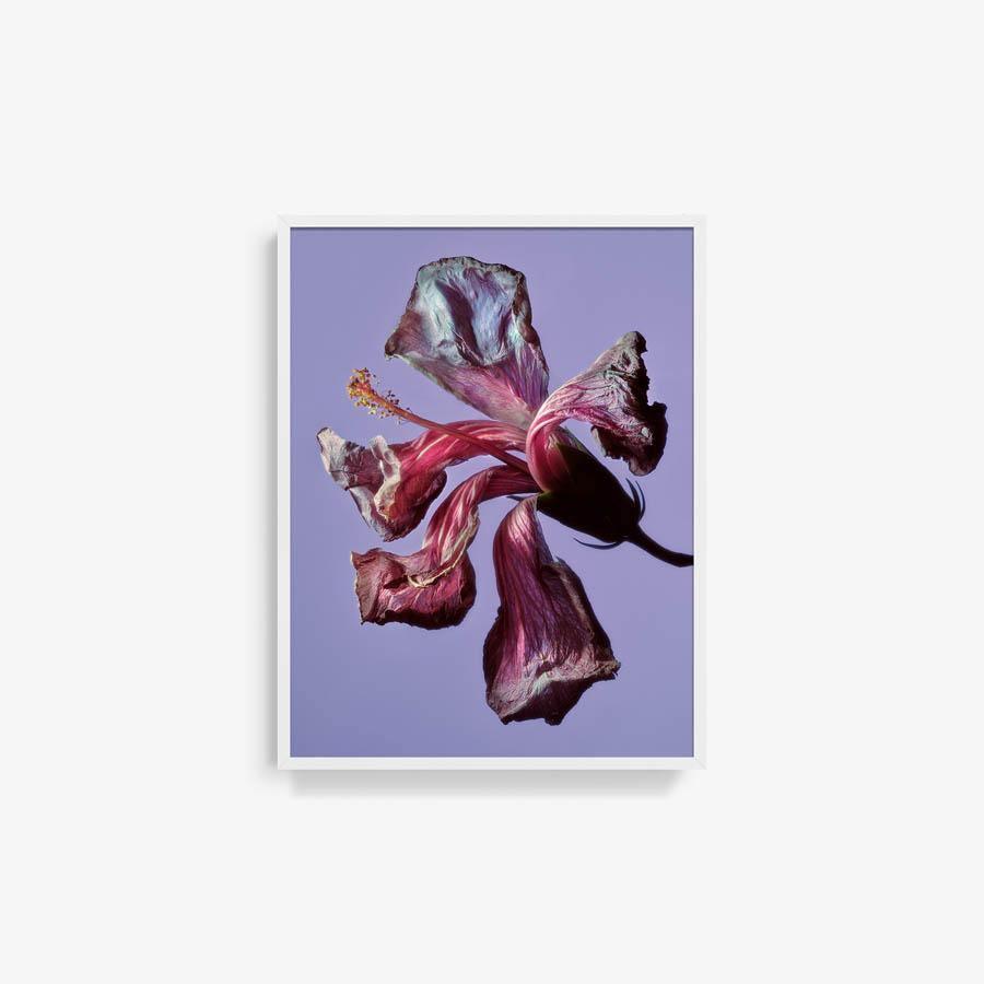 Photography by Jacques Brun