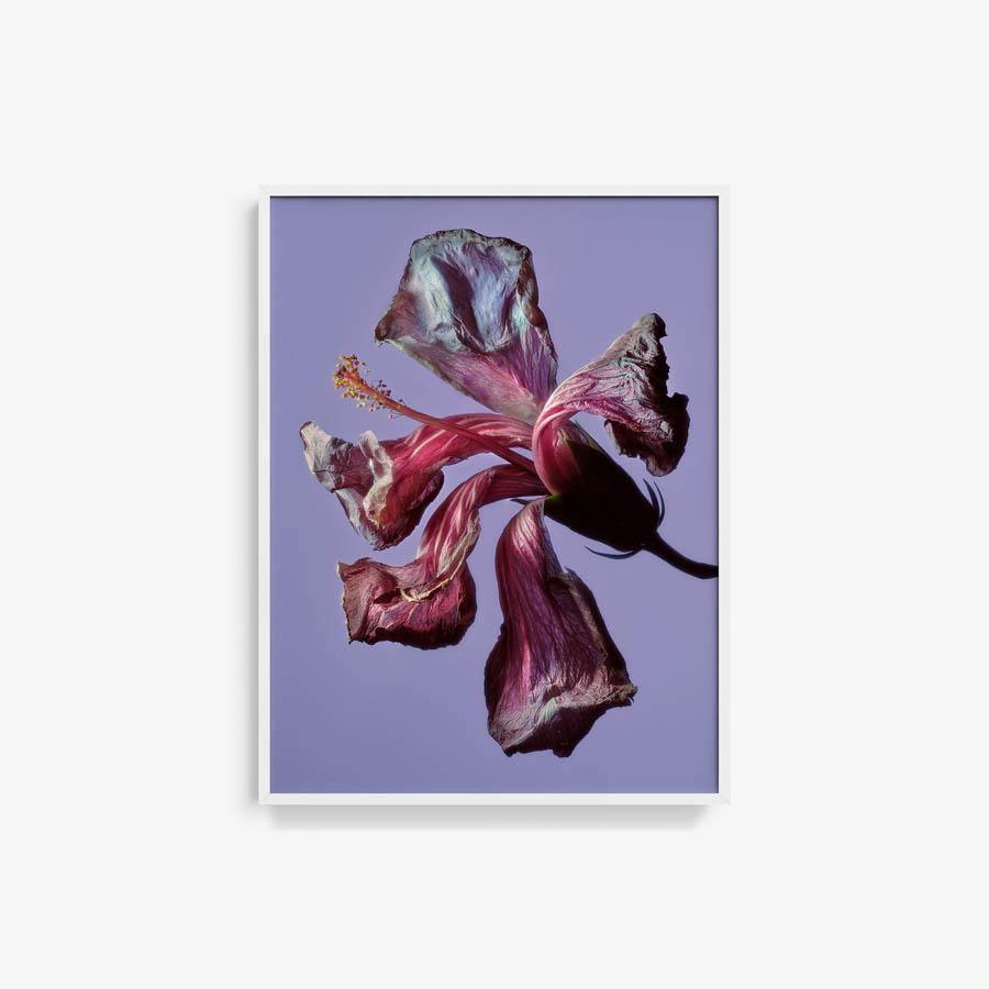 Photography by Jacques Brun