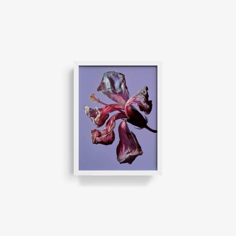 Photography by Jacques Brun