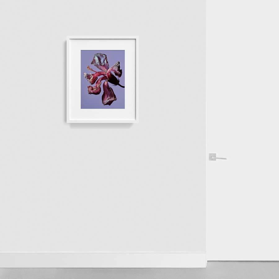 Photography by Jacques Brun