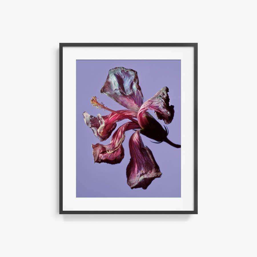 Photography by Jacques Brun