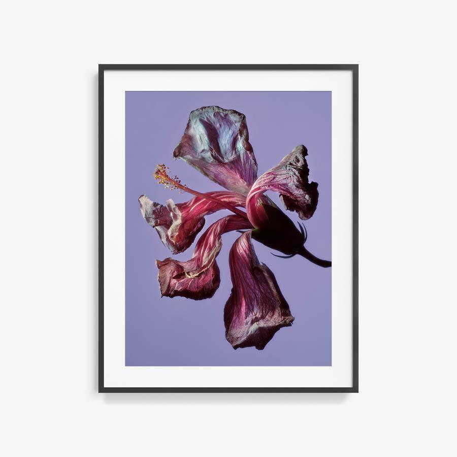 Photography by Jacques Brun