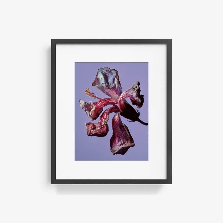 Photography by Jacques Brun