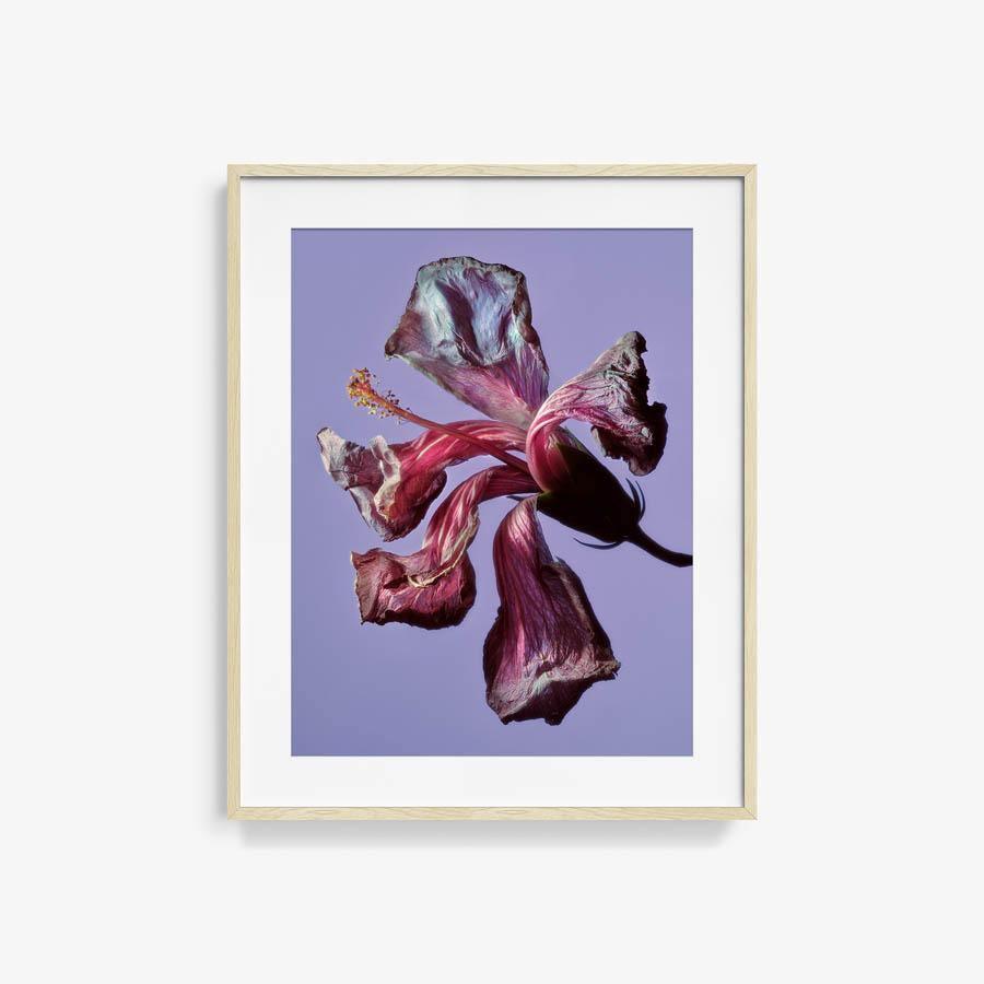 Photography by Jacques Brun