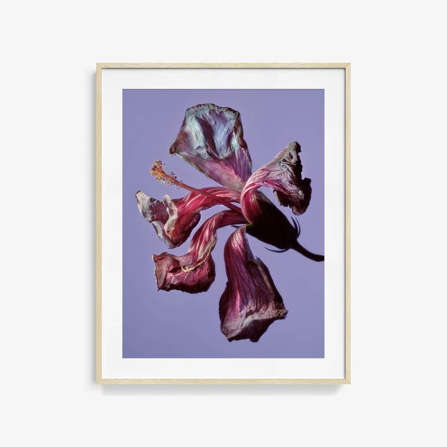 Photography by Jacques Brun