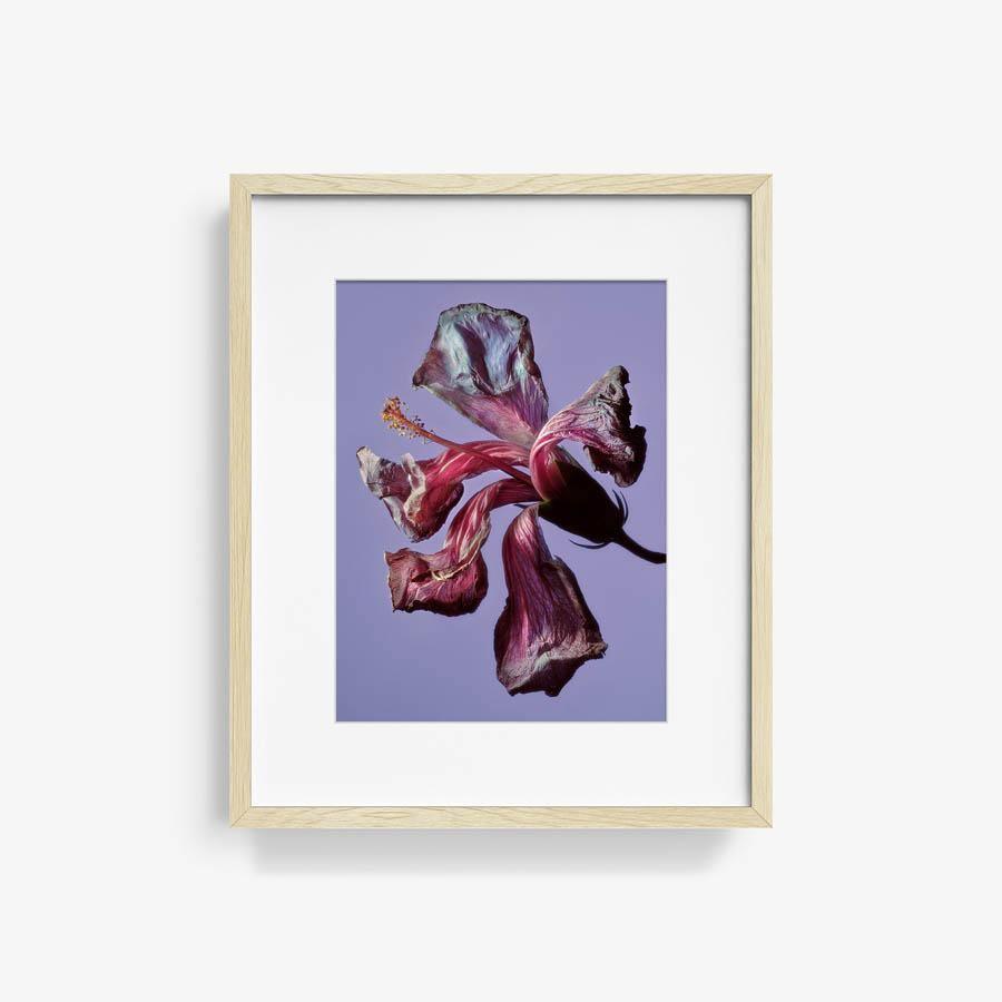 Photography by Jacques Brun