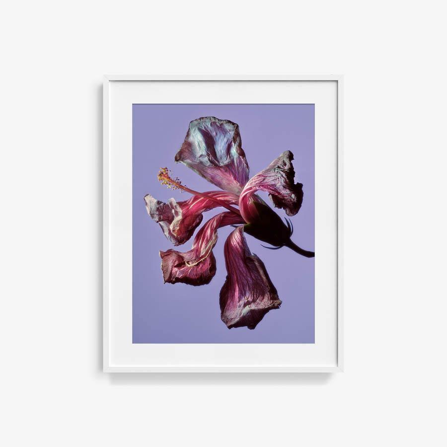 Photography by Jacques Brun