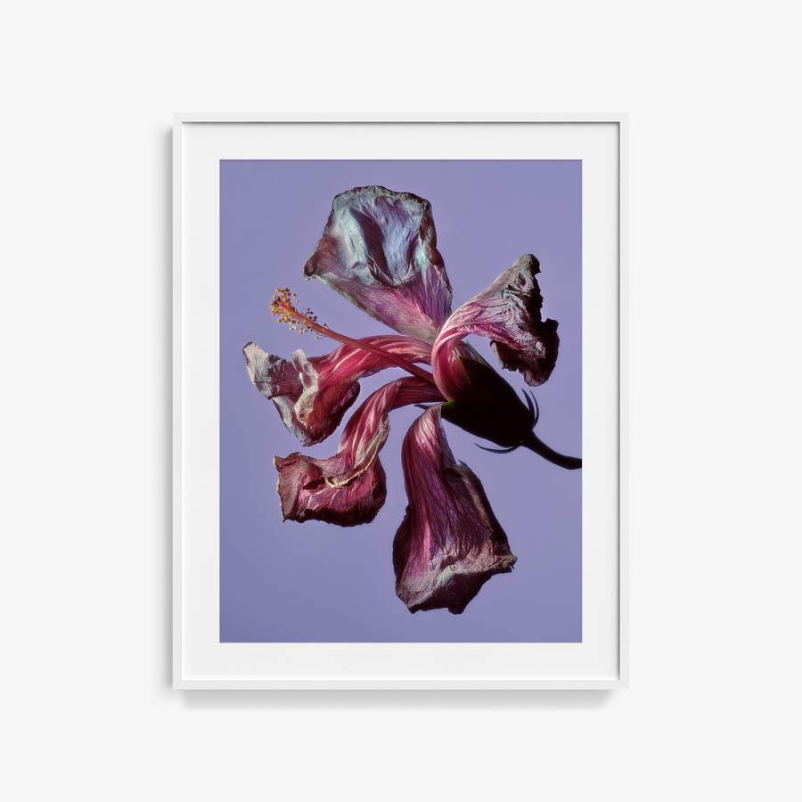 Photography by Jacques Brun