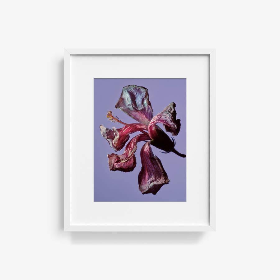 Photography by Jacques Brun