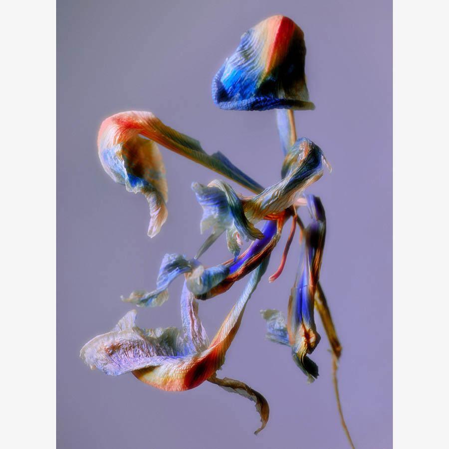 Photography by Jacques Brun