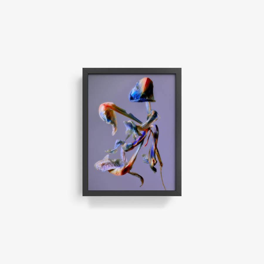 Photography by Jacques Brun