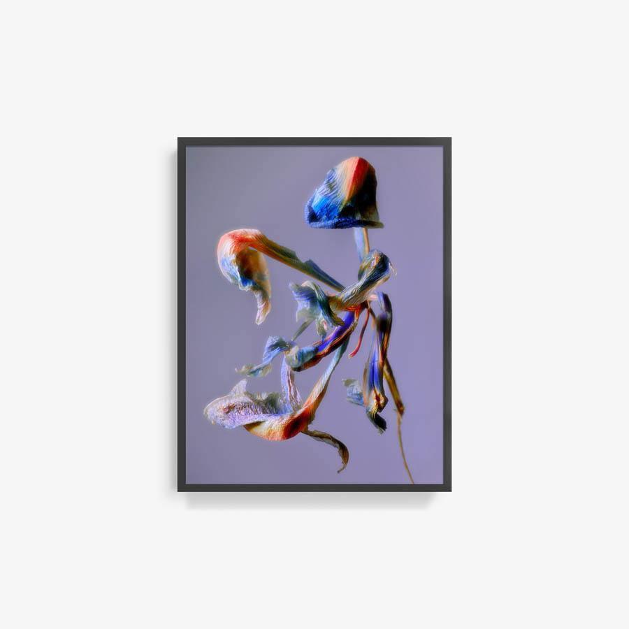 Photography by Jacques Brun