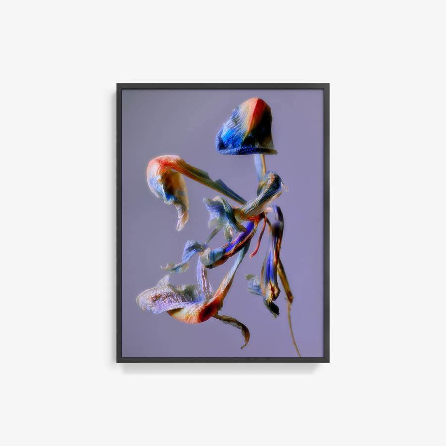 Photography by Jacques Brun