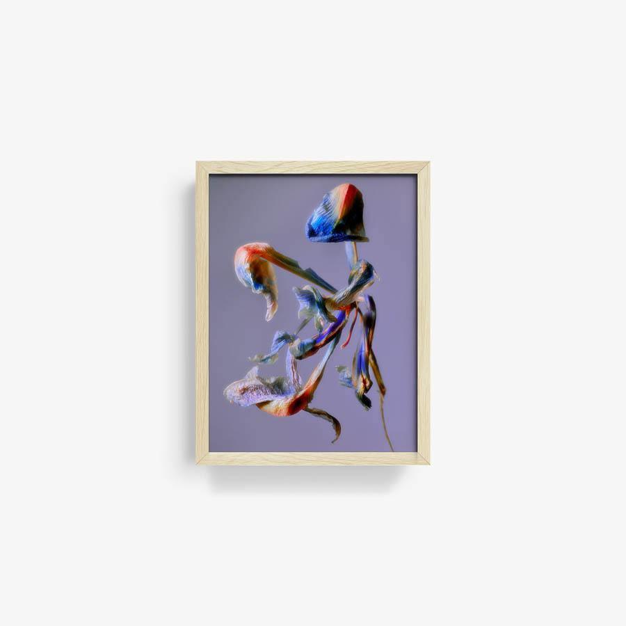 Photography by Jacques Brun