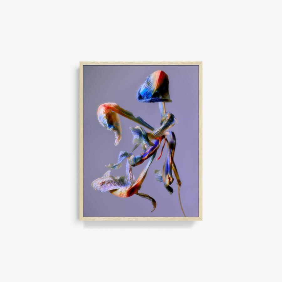 Photography by Jacques Brun