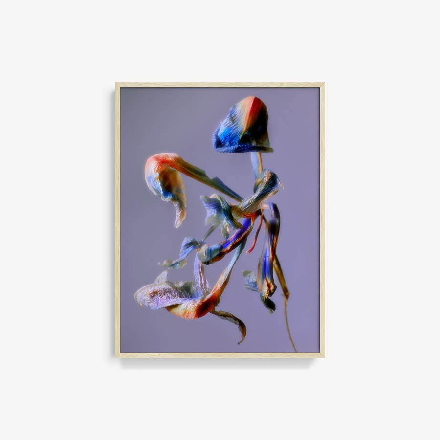 Photography by Jacques Brun